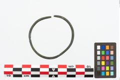 Foto von Bronzearmreif (NHMW-PRAE-026618)